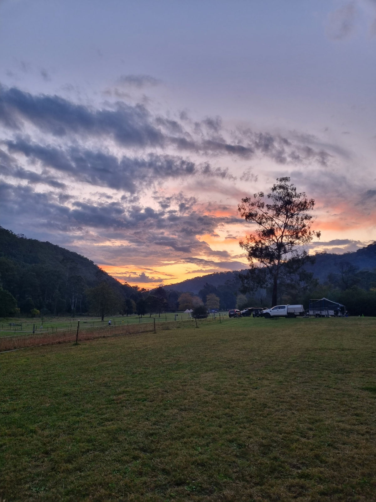 newsletter sunset